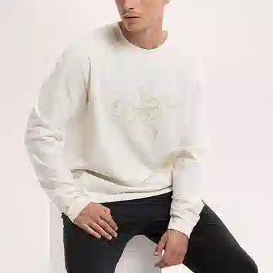 Arcteryx ENVOY ARCHAEOPTERYX Logo T