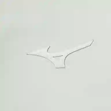 Mizuno ESSENTIAL Logo