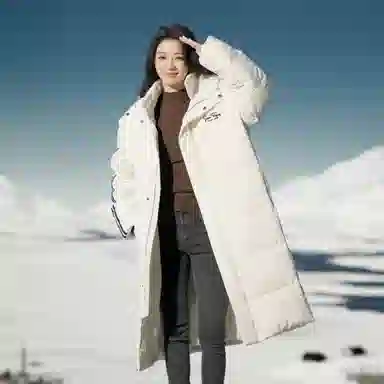 SNOW FLYING logo90