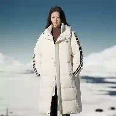 SNOW FLYING logo90