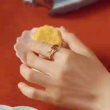 SUCH NICE ins
