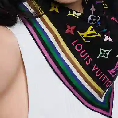 LOUIS VUITTON x Monogram