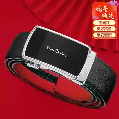 PIERRE CARDIN 3.6cm