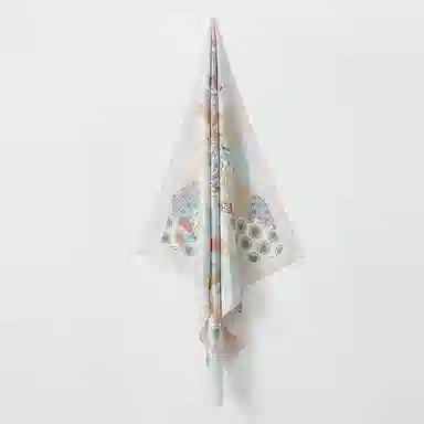 WENSLI 10088*88cm