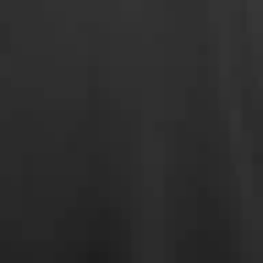 EMPORIO ARMANI LogoT