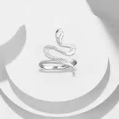 RINGLOVE ins 925