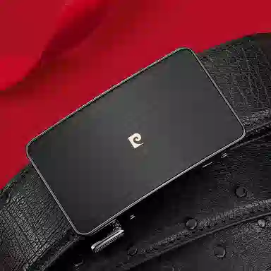 PIERRE CARDIN logo 3.45CM