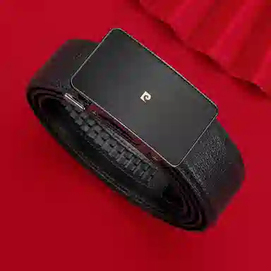 PIERRE CARDIN logo 3.45CM