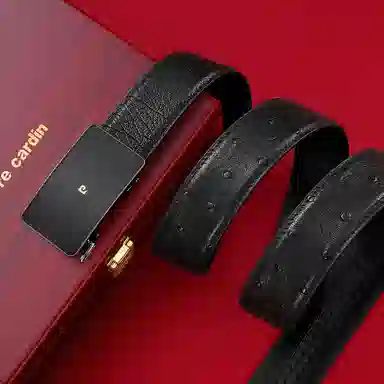 PIERRE CARDIN logo 3.45CM