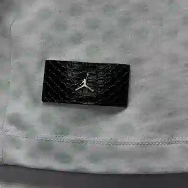 Jordan Jordan CNY FW24 logoT