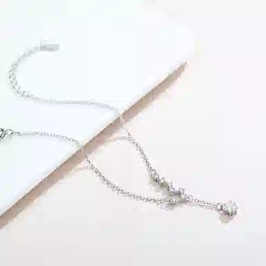zoo jewel S925
