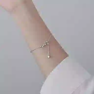 zoo jewel S925