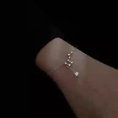zoo jewel S925