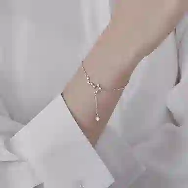 zoo jewel S925
