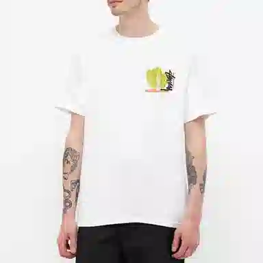 Stussy Desert Bloom Tee T