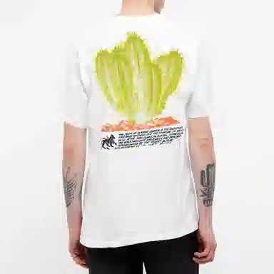 Stussy Desert Bloom Tee T