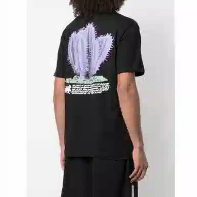 Stussy Desert Bloom Tee T