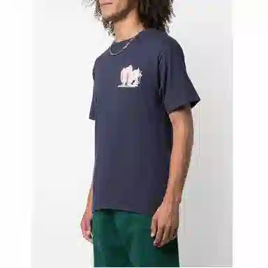 Stussy Desert Bloom Tee T