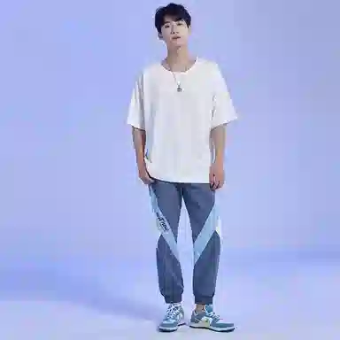 FireMonkey T