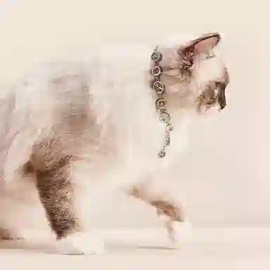 ARTE PET IT ON Rivire 316L