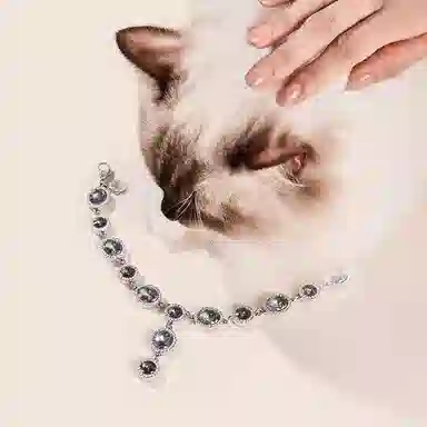 ARTE PET IT ON Rivire 316L