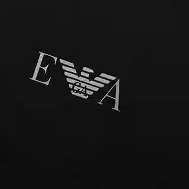 EMPORIO ARMANI LogoT 2