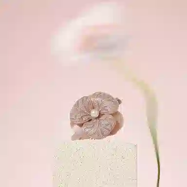 ALEXANDRE DE PARIS 8