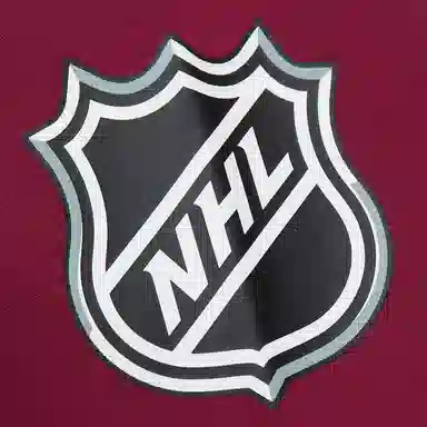 Mitchell Ness Colorado Avalanche There Back