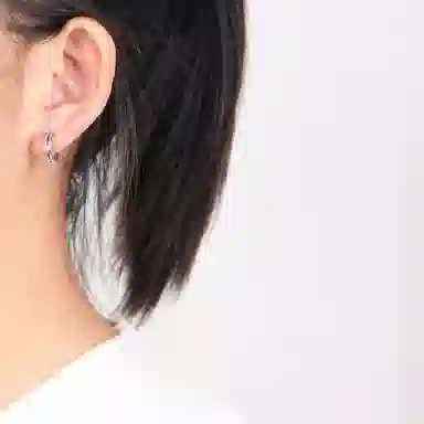 ins S925