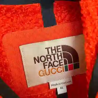 GUCCI x THE NORTH FACE Logo