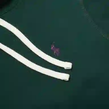 Polo Ralph Lauren Logo
