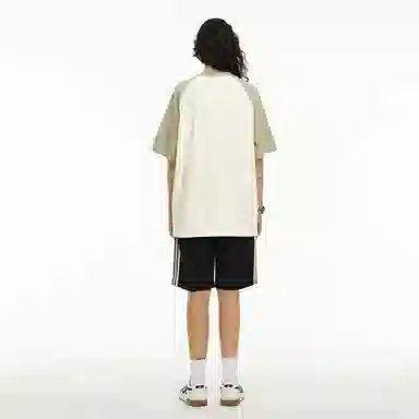 ICONS Lab SS23 icsT