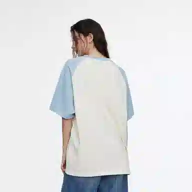 ICONS Lab SS23 icsT