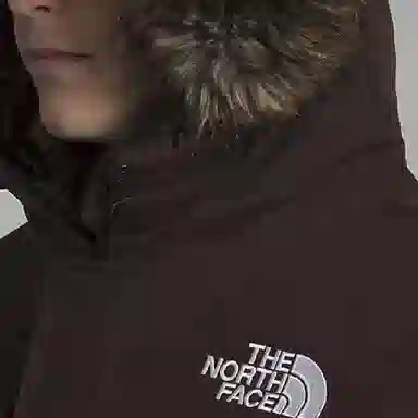 The North Face Mcmurdo Brown