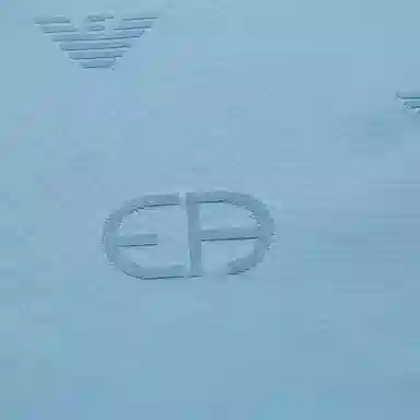 EMPORIO ARMANI FW22 T