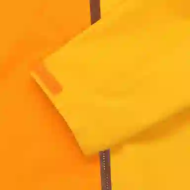 Arcteryx Beta Jacket Blaze Amber Ale