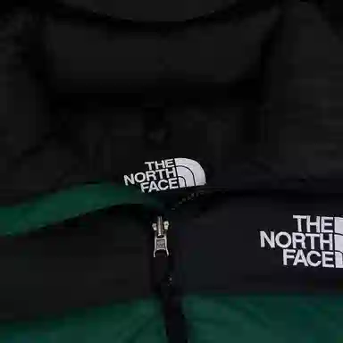 The North Face 700 Down Jacket
