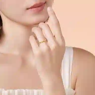 ins S925