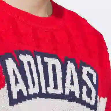 adidas originals FW24 LNY KNIT PULLOV