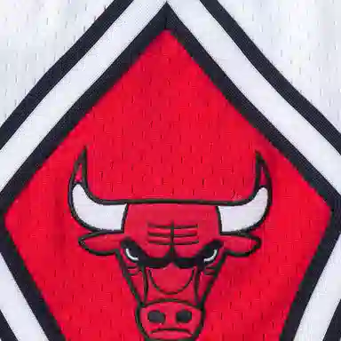 Mitchell Ness x Just Don NBA 96-97