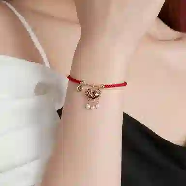 HMZ ins
