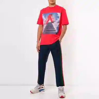 PALACE T