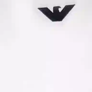 EMPORIO ARMANI LogoT