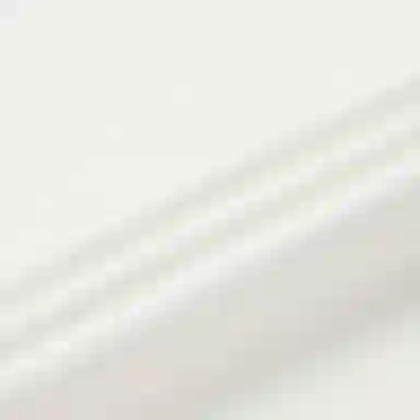 EMPORIO ARMANI FW22 LogoT