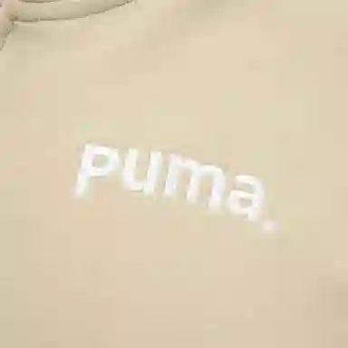 PUMA TEAM FZ HOODIE