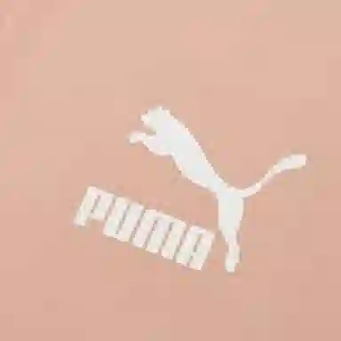 Puma Iconic