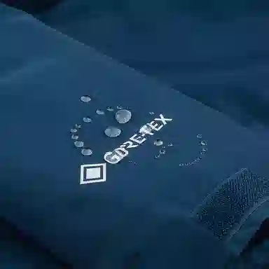 THE NORTH FACE GORETEX 550