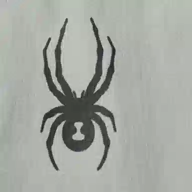 SPYDER SS24 TRAINING