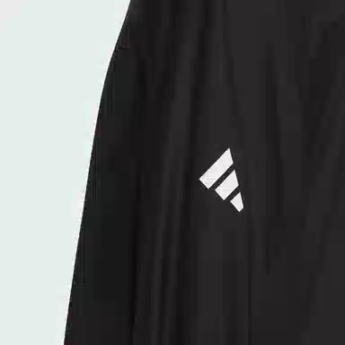 adidas FW24 FUTURE STYLE PRE LogoT