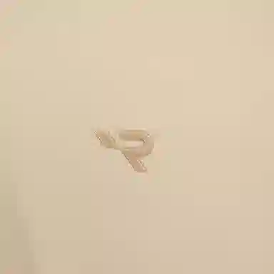 RAPIDO CLAGANCE GOIFPolo